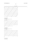 COMPOSITIONS AND METHODS FOR PREVENTING OR TREATING A HUMAN PARVOVIRUS     INFECTION diagram and image