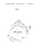 COMPOUNDS AND METHODS FOR BIOFILM DISRUPTION AND PREVENTION diagram and image