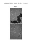 COMPOUNDS AND METHODS FOR BIOFILM DISRUPTION AND PREVENTION diagram and image