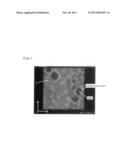 PRESSURE-SENSITIVE ADHESIVE COMPOSITION FOR OPTICAL FILM,     PRESSURE-SENSITIVE ADHESIVE LAYER FOR OPTICAL FILM, PRESSURE-SENSITIVE     ADHESIVE OPTICAL FILM, AND IMAGE DISPLAY DEVICE diagram and image