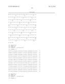 POSITIVE AND NEGATIVE SELECTABLE MARKERS FOR USE IN THERMOPHILIC ORGANISMS diagram and image