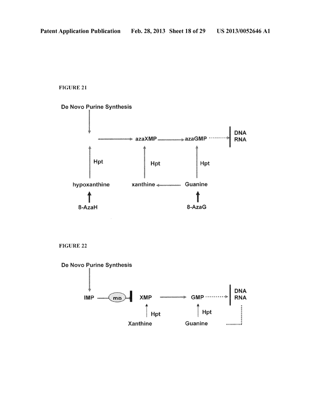 POSITIVE AND NEGATIVE SELECTABLE MARKERS FOR USE IN THERMOPHILIC ORGANISMS - diagram, schematic, and image 19