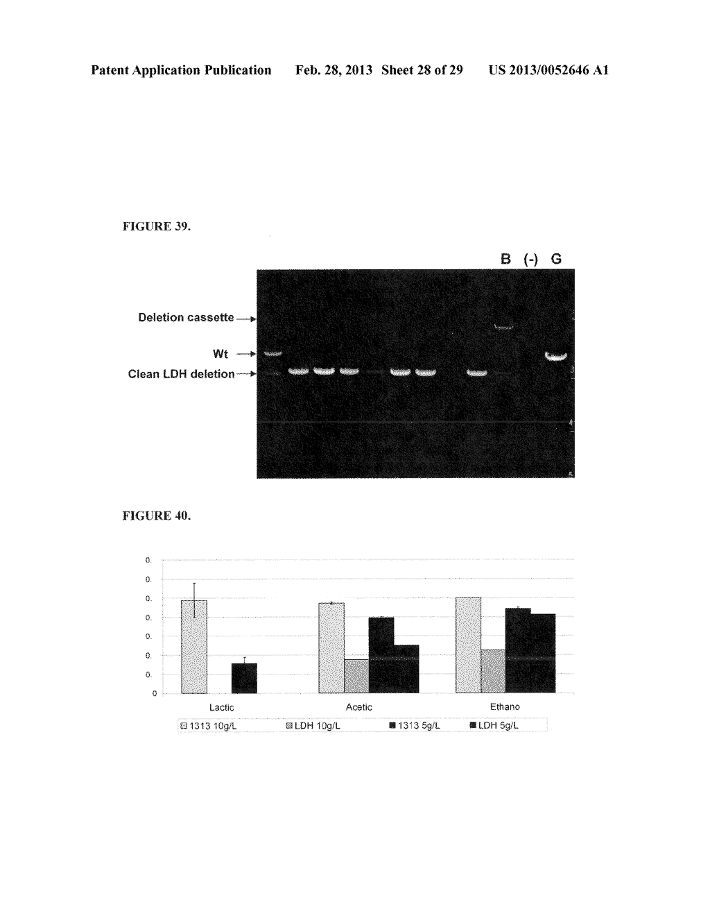 POSITIVE AND NEGATIVE SELECTABLE MARKERS FOR USE IN THERMOPHILIC ORGANISMS - diagram, schematic, and image 29