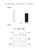 METHODS AND USE RELATED TO HUMANIN AND HUMANIN-LIKE PEPTIDES diagram and image