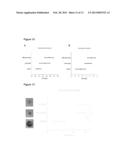 METHODS AND USE RELATED TO HUMANIN AND HUMANIN-LIKE PEPTIDES diagram and image