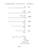 FATTY ACID DERIVATIVES AND ANALOGS OF DRUGS diagram and image