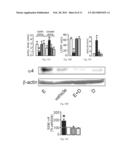 Methods of Treating Alcohol Intoxication, Alcohol Use Disorders and     Alcohol Abuse Which Comprises the Administration of Dihydromyricetin diagram and image