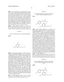 PRODRUG OF TRIAZOLONE COMPOUND diagram and image