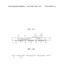 APPARATUS AND METHOD FOR MEASURING BIOELECTRIC SIGNALS diagram and image