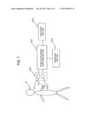 PAIN SENSORY NERVE STIMULATION APPARATUS diagram and image