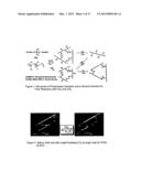 POLYSILOXANES WITH AMINO FUNCTIONALITIES HAVING REVERSIBLE THICKENING AND     ADHESION PROPERTIES AND SYSTEMS AND METHODS FOR CRUDE OIL, PETROLEUM     PRODUCT OR CHEMICAL SPILL CONTAINMENT AND REMEDIATION diagram and image