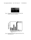 POLYSILOXANES WITH AMINO FUNCTIONALITIES HAVING REVERSIBLE THICKENING AND     ADHESION PROPERTIES AND SYSTEMS AND METHODS FOR CRUDE OIL, PETROLEUM     PRODUCT OR CHEMICAL SPILL CONTAINMENT AND REMEDIATION diagram and image