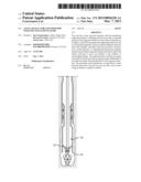 Annular Seal for Expanded Pipe with One Way Flow Feature diagram and image