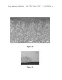 ULTRA-FAST BORIDING OF METAL SURFACES FOR IMPROVED PROPERTIES diagram and image