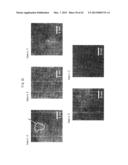 ORGANIC EL DISPLAY PANEL AND ORGANIC EL DISPLAY APPARATUS diagram and image