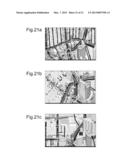 THREE-DIMENSIONAL MAP DRAWING SYSTEM diagram and image