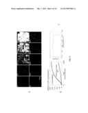 IMAGING CRYSTALLINE DOMAINS OF SMALL MOLECULES diagram and image