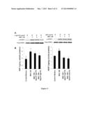 Stem-Cell Material and Method of Use diagram and image