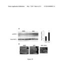 Stem-Cell Material and Method of Use diagram and image