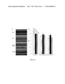 Stem-Cell Material and Method of Use diagram and image