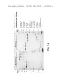 ANTIGEN BINDING PROTEINS TO PROPROTEIN CONVERTASE SUBTILISIN KEXIN TYPE 9     (PCSK9) diagram and image