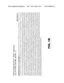 Novel Modulators and Methods of Use diagram and image