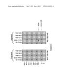 ANTI-POLYUBIQUITIN ANTIBODIES AND METHODS OF USE diagram and image