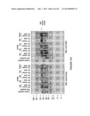 ANTI-POLYUBIQUITIN ANTIBODIES AND METHODS OF USE diagram and image