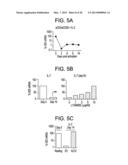 METHODS FOR ACTIVATING T CELLS AND MODULATING AN IMMUNE RESPONSE diagram and image