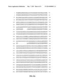 RECOMBINANT MODIFIED BACILLUS ANTHRACIS PROTECTIVE ANTIGEN FOR USE IN     VACCINES diagram and image