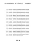 RECOMBINANT MODIFIED BACILLUS ANTHRACIS PROTECTIVE ANTIGEN FOR USE IN     VACCINES diagram and image