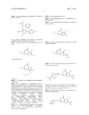 SMALL MOLECULE INHIBITORS OF PROTEIN KINASES diagram and image