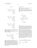 SMALL MOLECULE INHIBITORS OF PROTEIN KINASES diagram and image