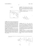 SMALL MOLECULE INHIBITORS OF PROTEIN KINASES diagram and image