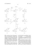 SMALL MOLECULE INHIBITORS OF PROTEIN KINASES diagram and image