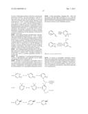 SMALL MOLECULE INHIBITORS OF PROTEIN KINASES diagram and image