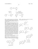 SMALL MOLECULE INHIBITORS OF PROTEIN KINASES diagram and image