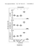 LIPOSOMES CONTAINING OLIGOPEPTIDE FRAGMENTS OF MYELIN BASIC PROTEIN, A     PHARMACEUTICAL COMPOSITION AND A METHOD FOR TREATMENT OF MULTIPLE     SCLEROSIS diagram and image