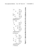 VACCINE COMPOSITION CONTAINING SYNTHETIC ADJUVANT diagram and image