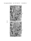 BIOACTIVE BONE GRAFT SUBSTITUTE diagram and image