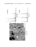 BIOACTIVE BONE GRAFT SUBSTITUTE diagram and image