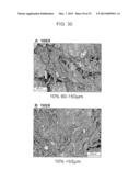 BIOACTIVE BONE GRAFT SUBSTITUTE diagram and image