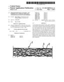 Shoe-Reinforcement Material and Barrier Unit, Composite Shoe Sole, and     Footwear Constituted Thereof diagram and image