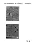 METHOD OF MANUFACTURING CARBON NANOTUBE, SINGLE-CRYSTAL SUBSTRATE FOR     MANUFACTURING CARBON NANOTUBE, AND CARBON NANOTUBE diagram and image