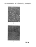 METHOD OF MANUFACTURING CARBON NANOTUBE, SINGLE-CRYSTAL SUBSTRATE FOR     MANUFACTURING CARBON NANOTUBE, AND CARBON NANOTUBE diagram and image