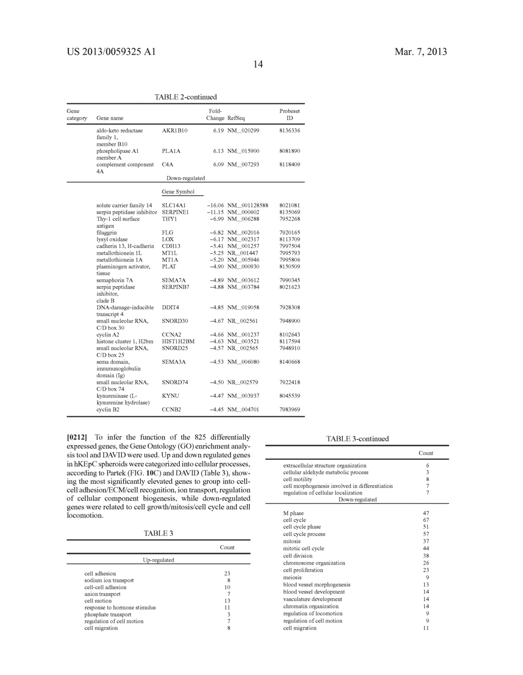 ISOLATED POPULATIONS OF ADULT RENAL CELLS AND METHODS OF ISOLATING AND     USING SAME - diagram, schematic, and image 43