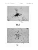 FIXING SOLUTION FOR BIOLOGICAL CELLS diagram and image