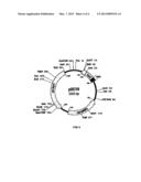 PRODUCTION OF RECOMBINANT SELENOPROTEIN MUTANTS WITH ENHANCED CATALYTIC     ACTIVITY diagram and image