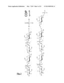 BIOCATALYTIC PRODUCTION OF GLYCOSIDES diagram and image