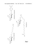 BIOCATALYTIC PRODUCTION OF GLYCOSIDES diagram and image